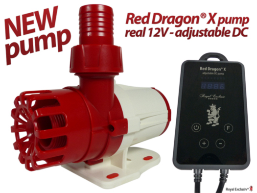 Royal Exclusiv Red Dragon X 12 and 24V